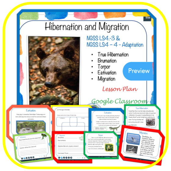 Hibernation, Estivation and Migration NGSS Science Reading